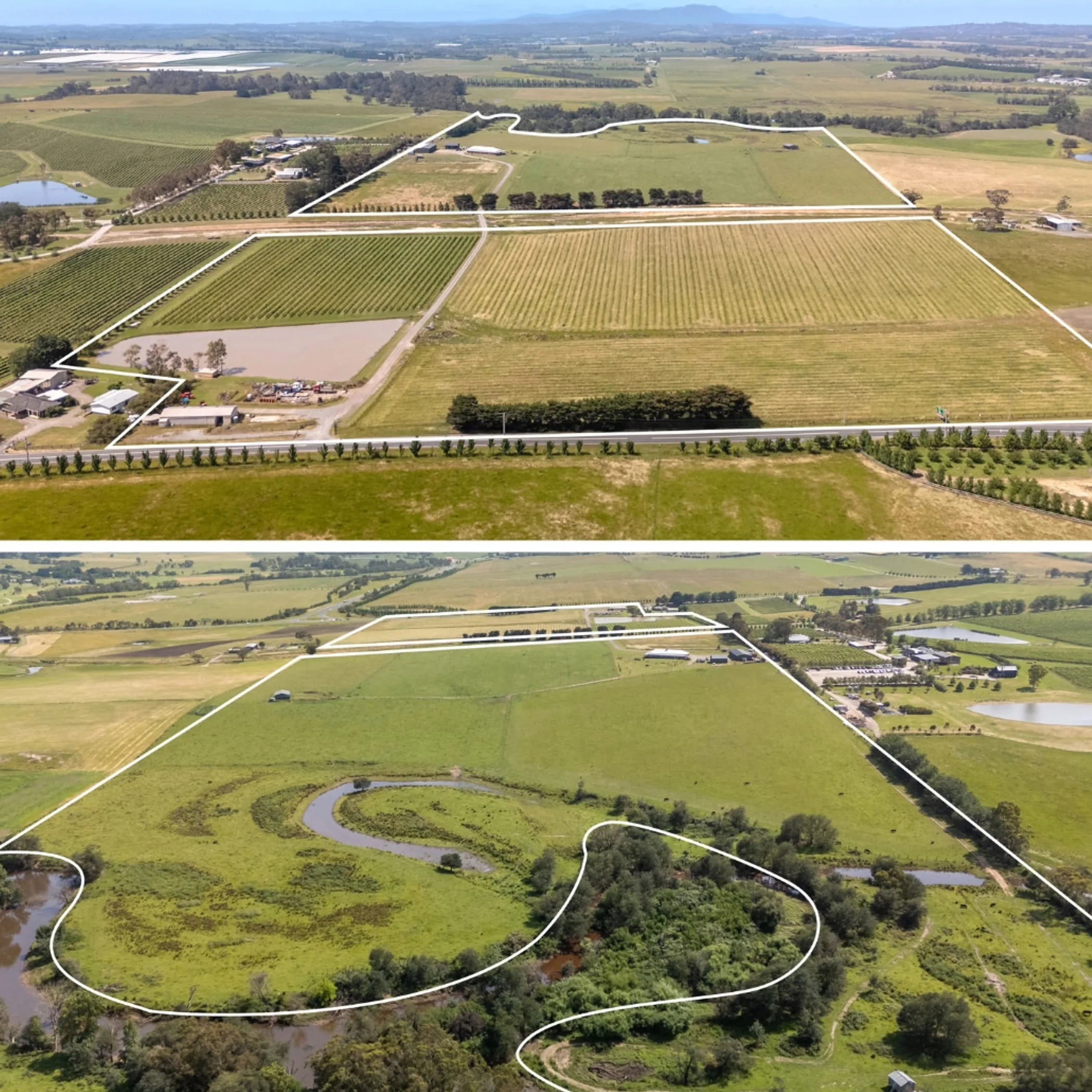 aerial vineyard and rural landscape