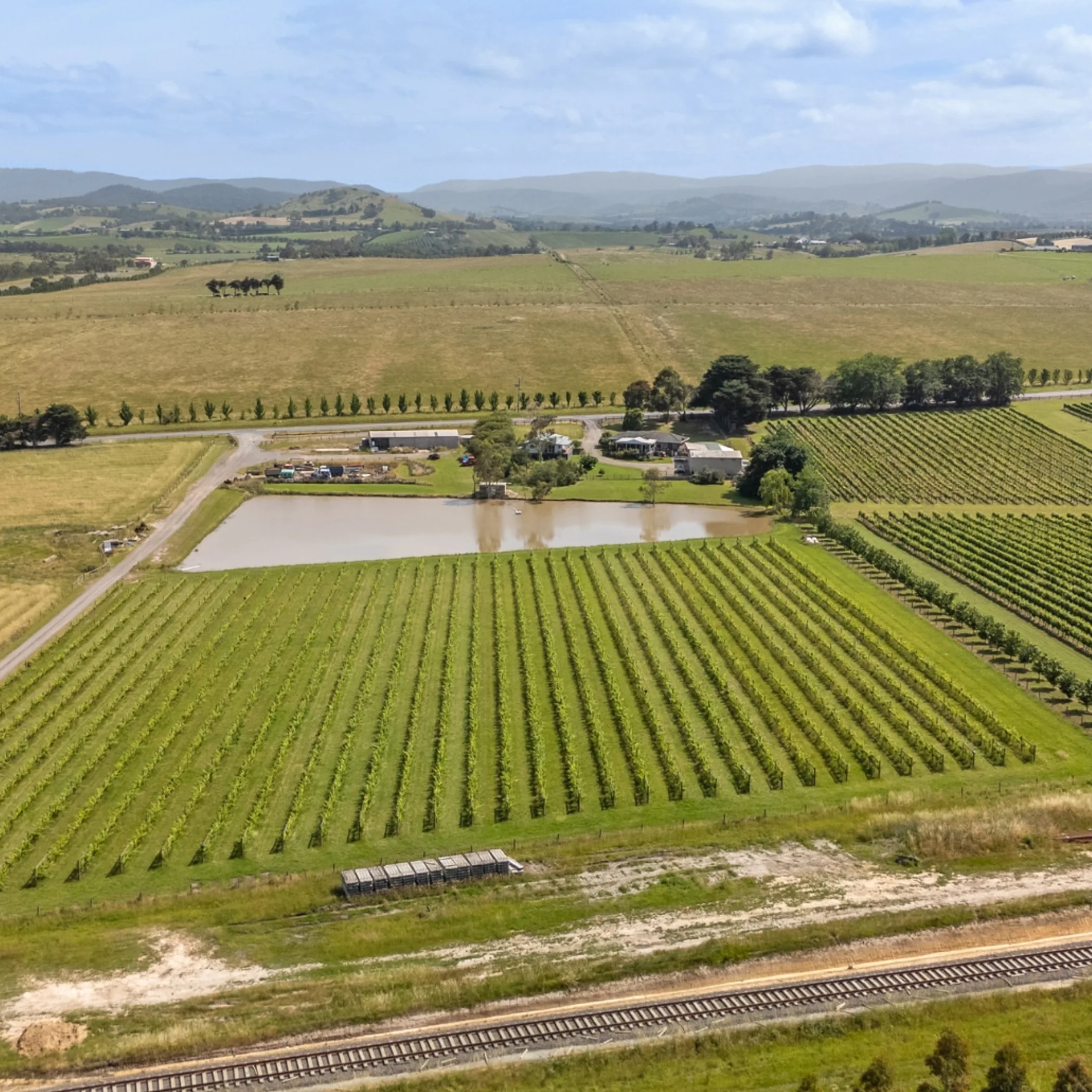 yarra valley vineyards and farmland